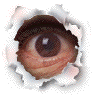 OUCH!!! You poked me in the eye!!!
